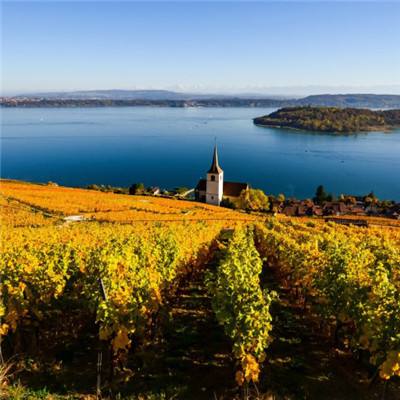 BO半岛综合app安全下载手机app下载