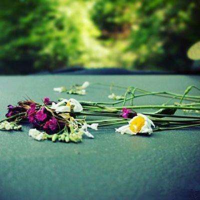 pg娱乐电子游戏平台官方版截图