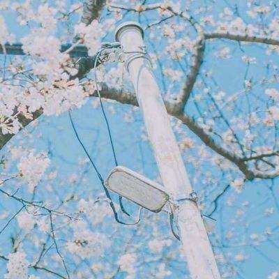 博冠体育App下载