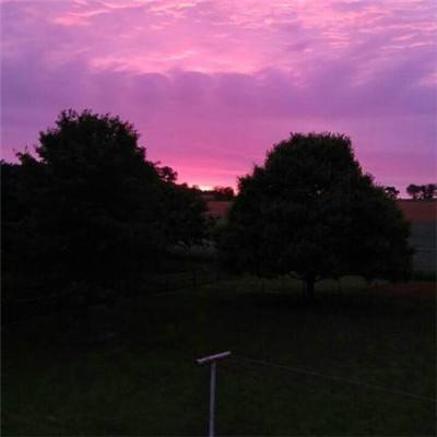 足球赌注软件手机app下载