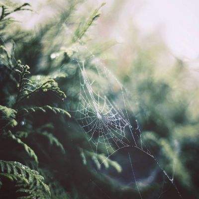 bat365在线平台官方网站